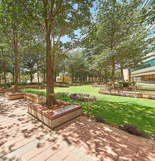 Embassy Business Hub - Environment friendly initiative