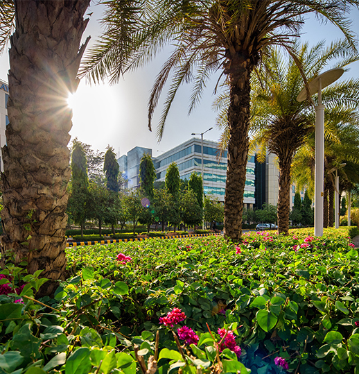 Embassy Quadron - Eco friendly initiative
